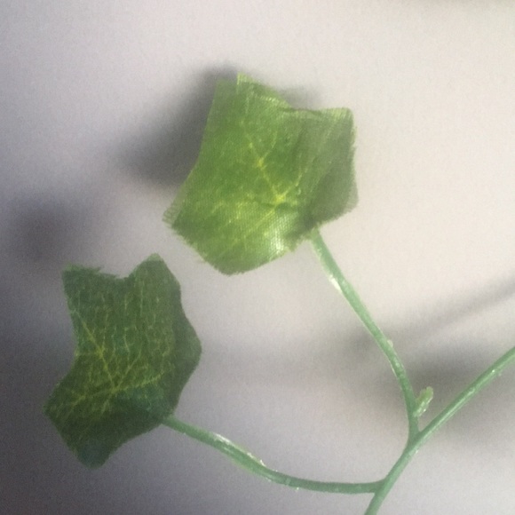 Selling green vines! Brand name Shein, length of each vine is 210cm,colour green - Picture 2 of 3